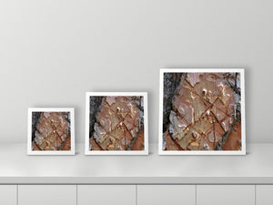 Cut Lines by Valerie Ruth, 12x12, 16x16 and 22x22 prints side by side