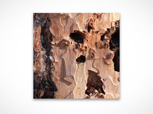 Hollows by Valerie Ruth, fine art print