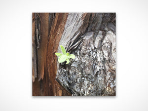 Lonely Me by Valerie Ruth, fine art print