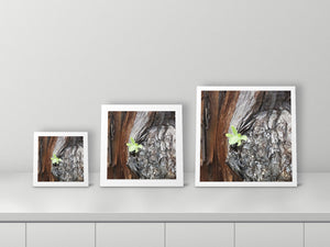 Lonely Me by Valerie Ruth, 12x12, 18x18 and 22x22 prints side by side
