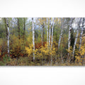 Autumn Splendour