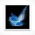 Fee Bleue