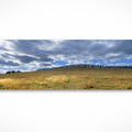 Fenceline