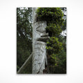Haida Totems 1