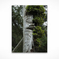 Haida Totems 3