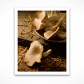 Mushrooms