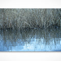 Reflections