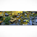 Fallen Leaves