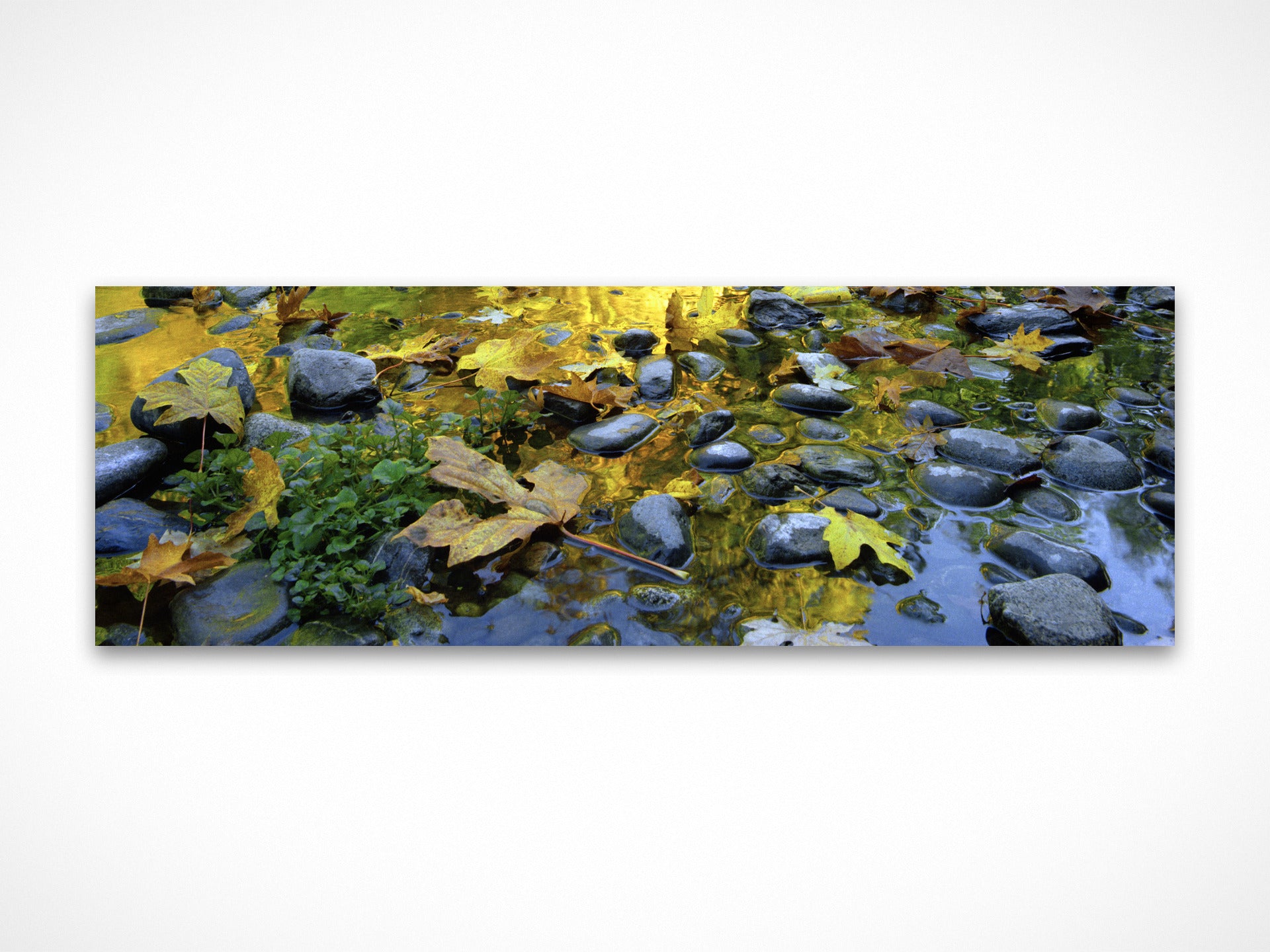 Fallen Leaves