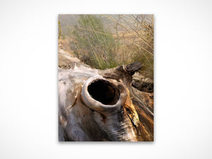 A Place Within by Valerie Ruth, fine art print