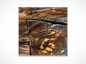 Built to Last by Valerie Ruth, fine art print