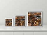 Built to Last by Valerie Ruth, 12x12, 16x16 and 22x22 prints side by side