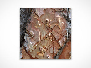 Cut Lines by Valerie Ruth, fine art print