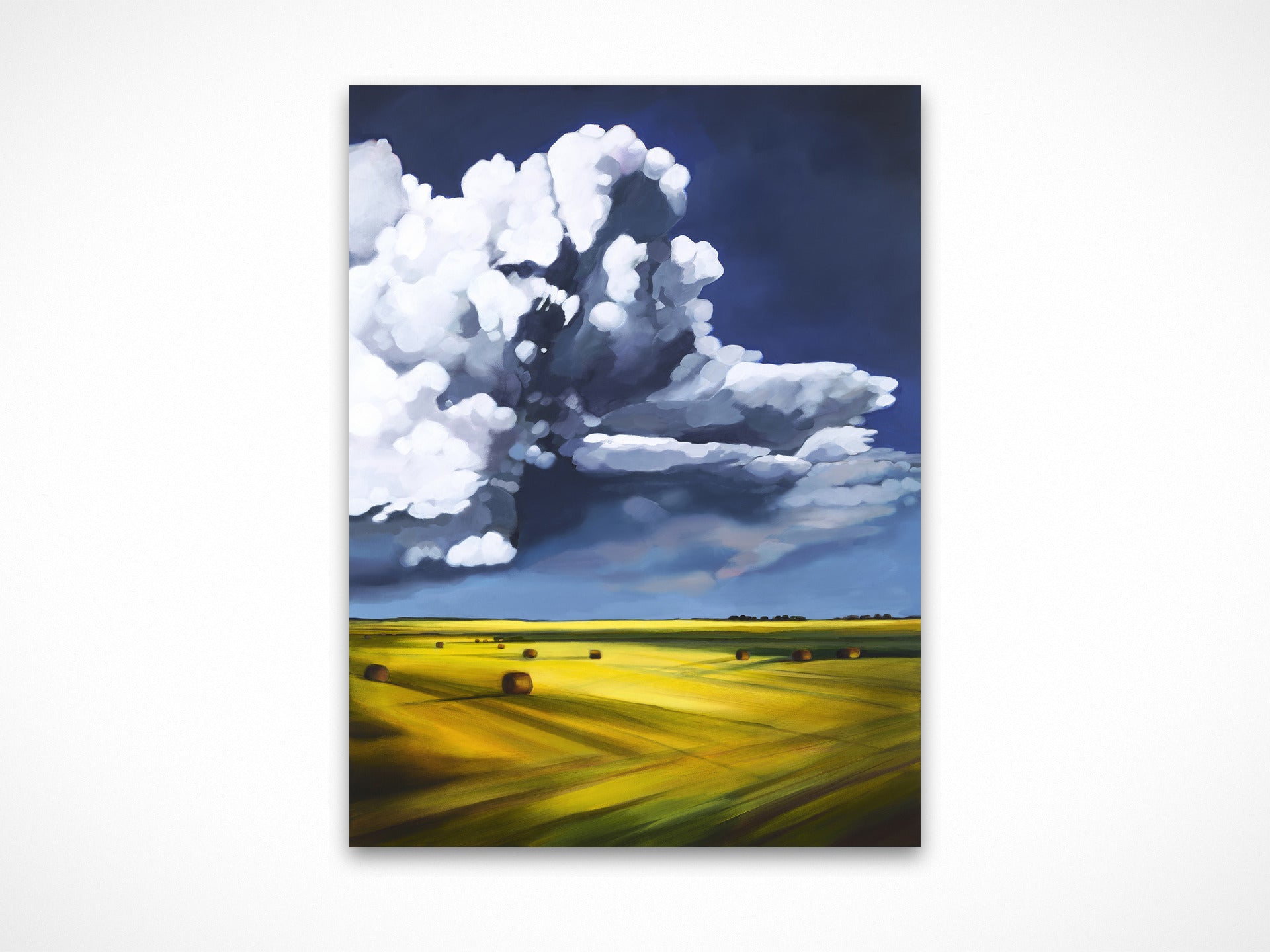 Dreamscape, Braided Field and Hay Bales