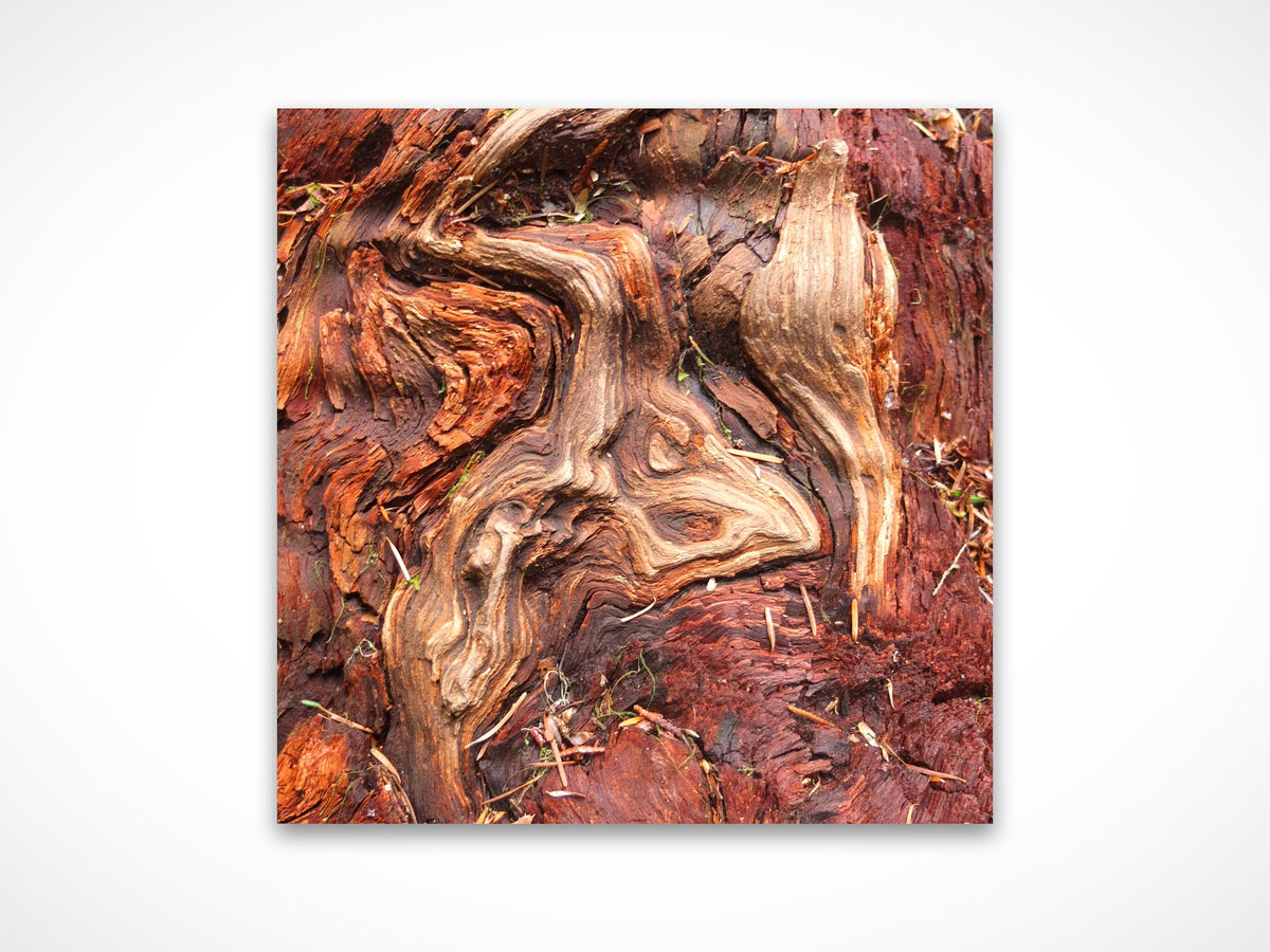 Emergence by Valerie Ruth, fine art print