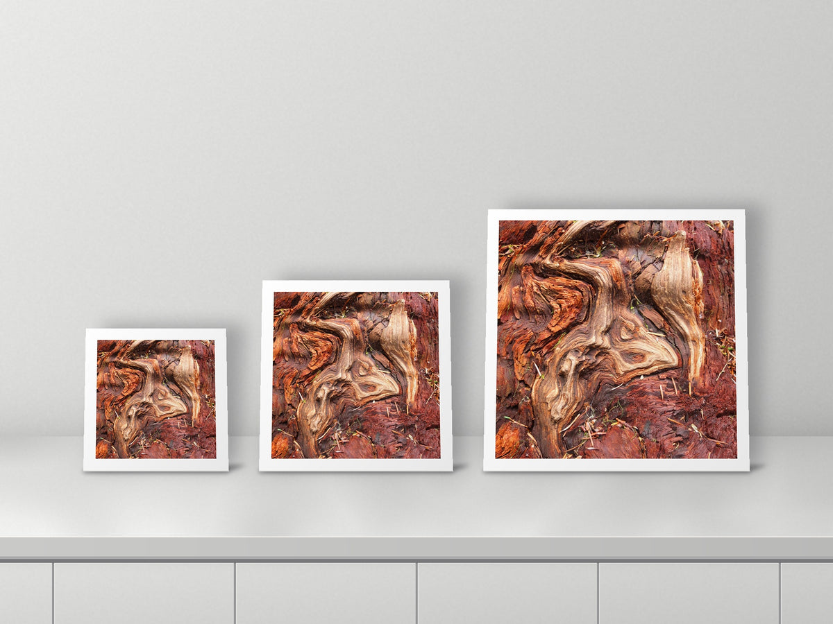 Emergence by Valerie Ruth, 12x12, 16x16 and 22x22 prints side by side
