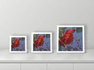 Flowers 1 by Angela Muellers, 10x10, 12x12 and 16x16 prints side by side