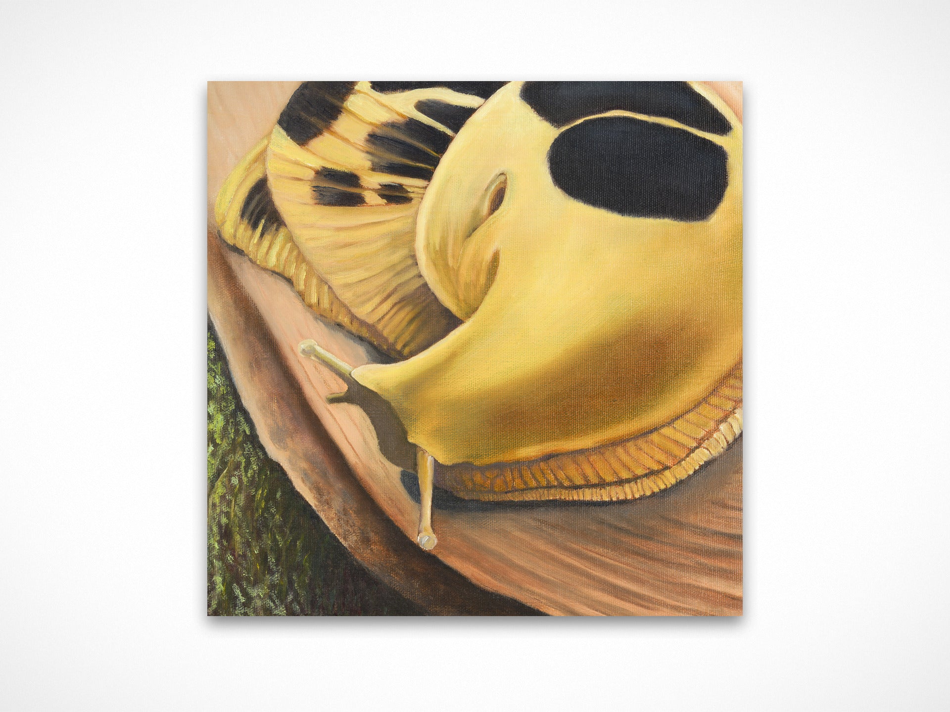 Giant of the Forest Floor