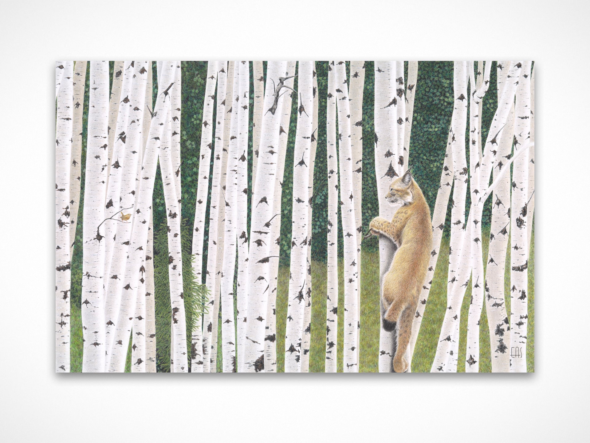 Here's Looking at You