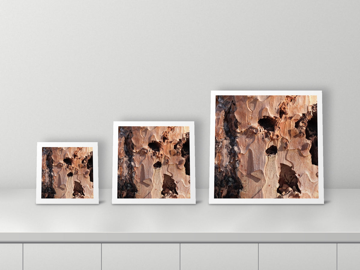 Hollows by Valerie Ruth, 12x12, 16x16 and 22x22 prints side by side