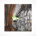 Lonely Me by Valerie Ruth, fine art print