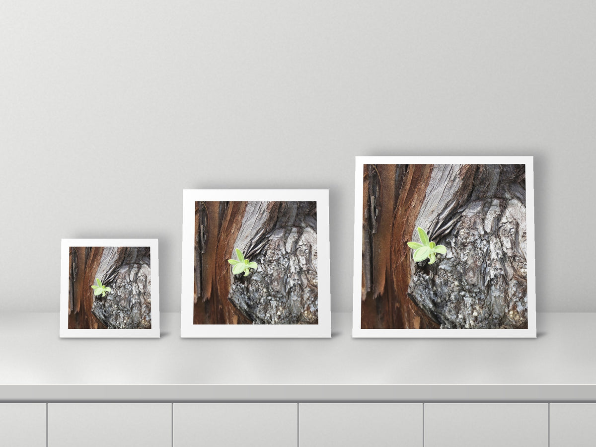 Lonely Me by Valerie Ruth, 12x12, 18x18 and 22x22 prints side by side