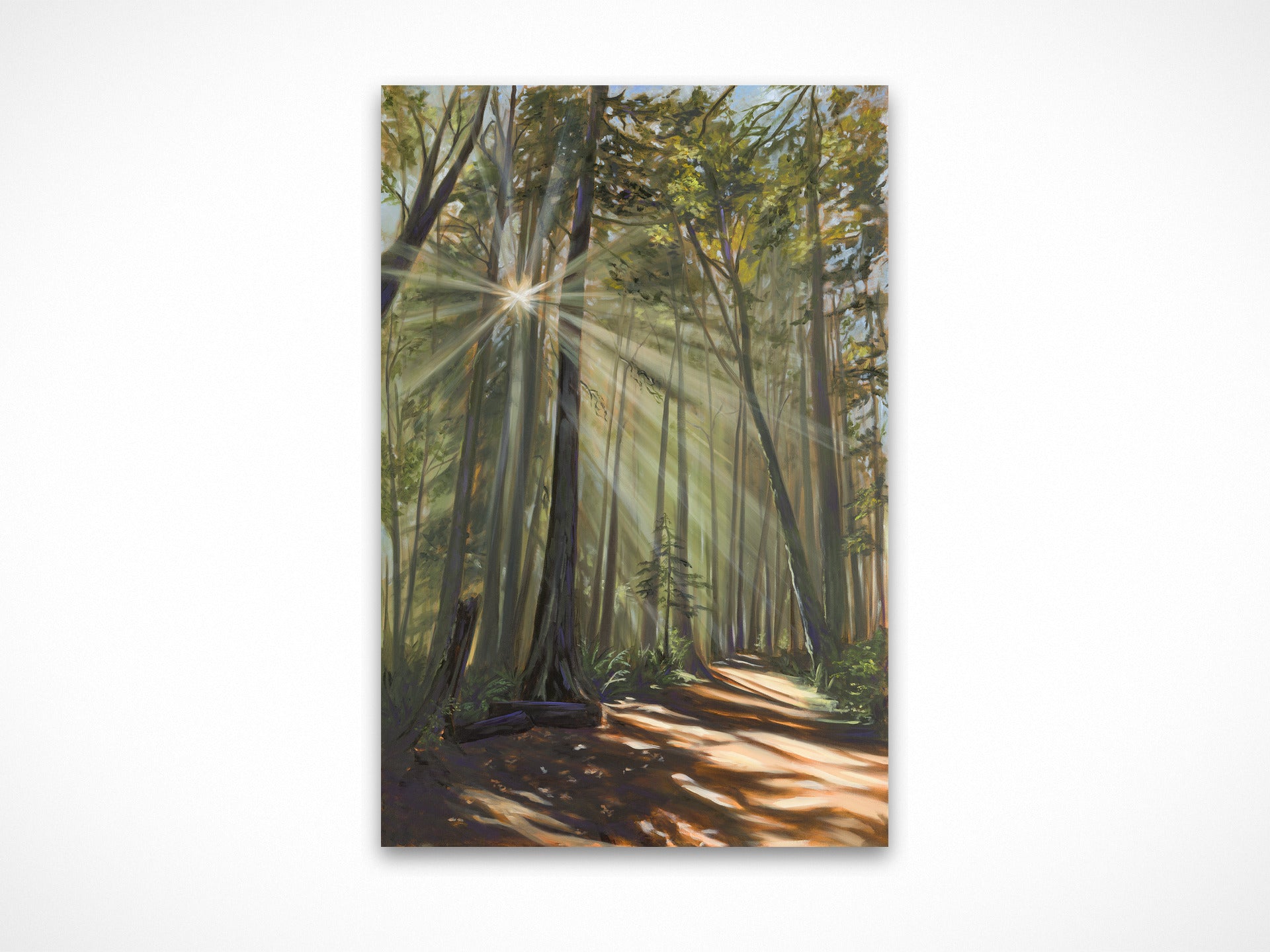 Morning Light