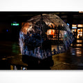 Robson Square Umbrella by Gord McCaw, fine art print