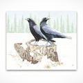 Two Ravens