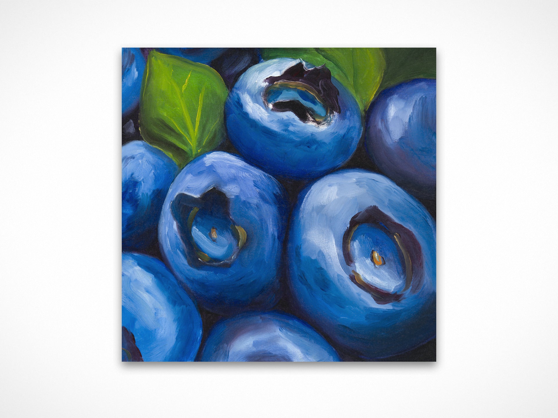 Wild Blueberries on Mount Seymour