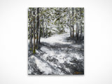 Woods - Winter