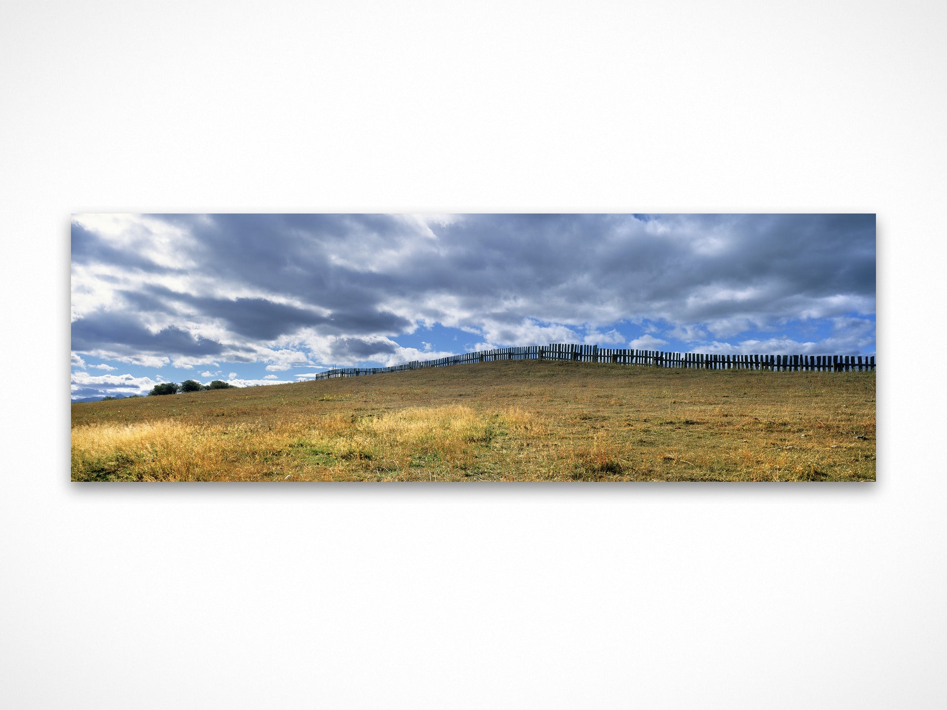 Fenceline