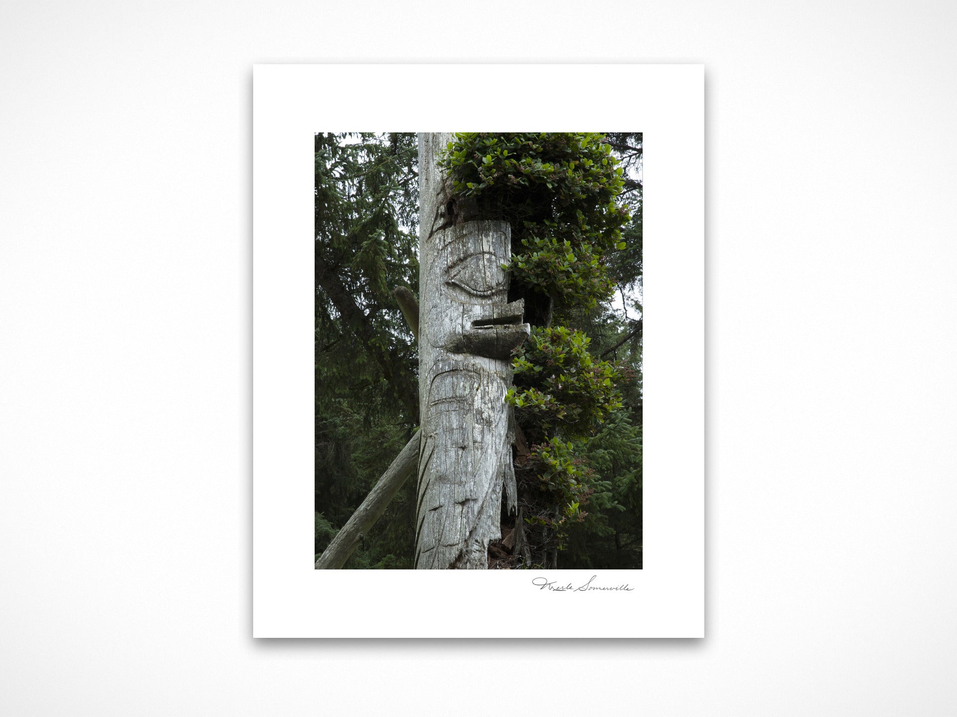 Haida Totems 1