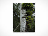 Haida Totems 1