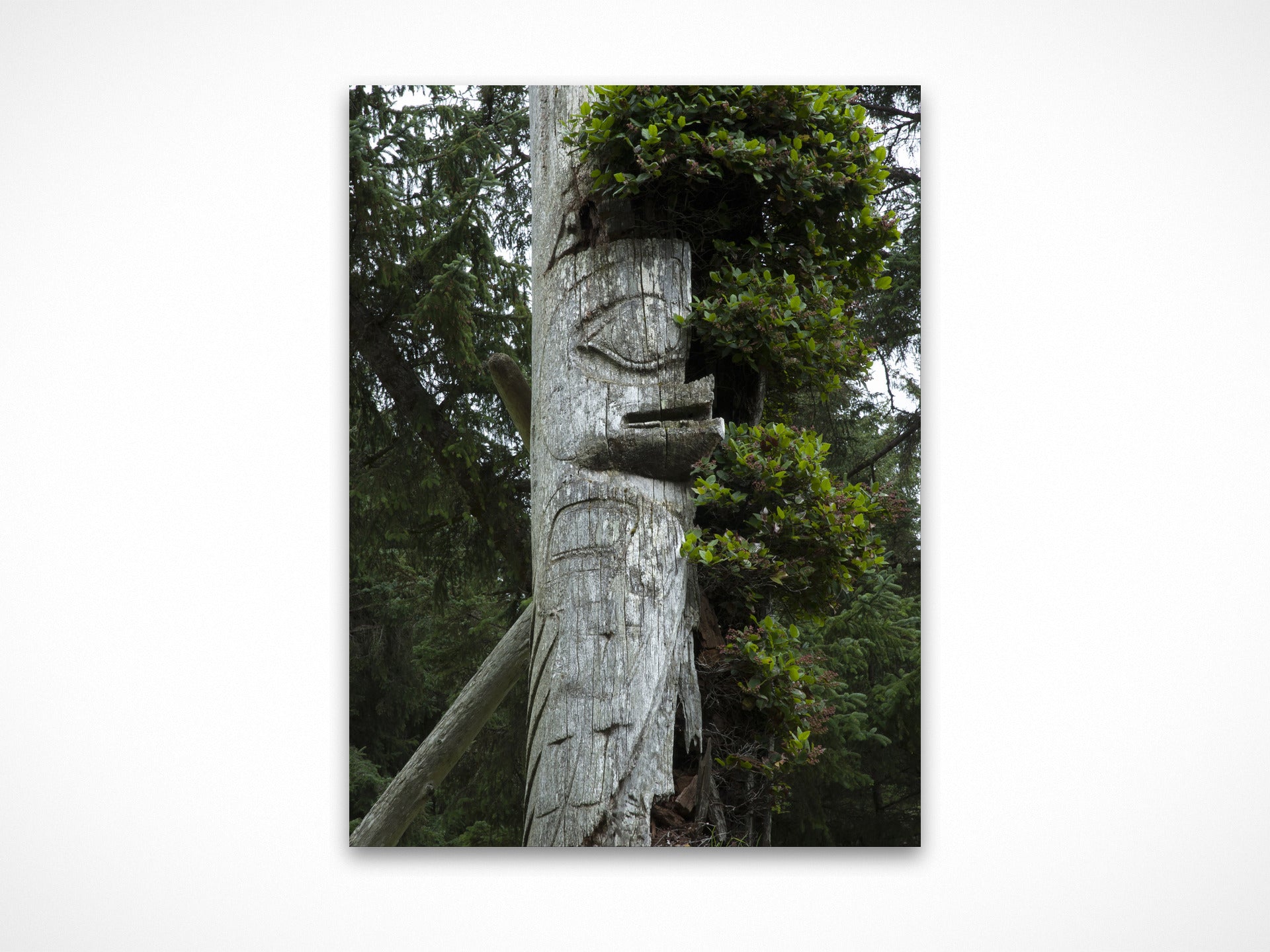 Haida Totems 3