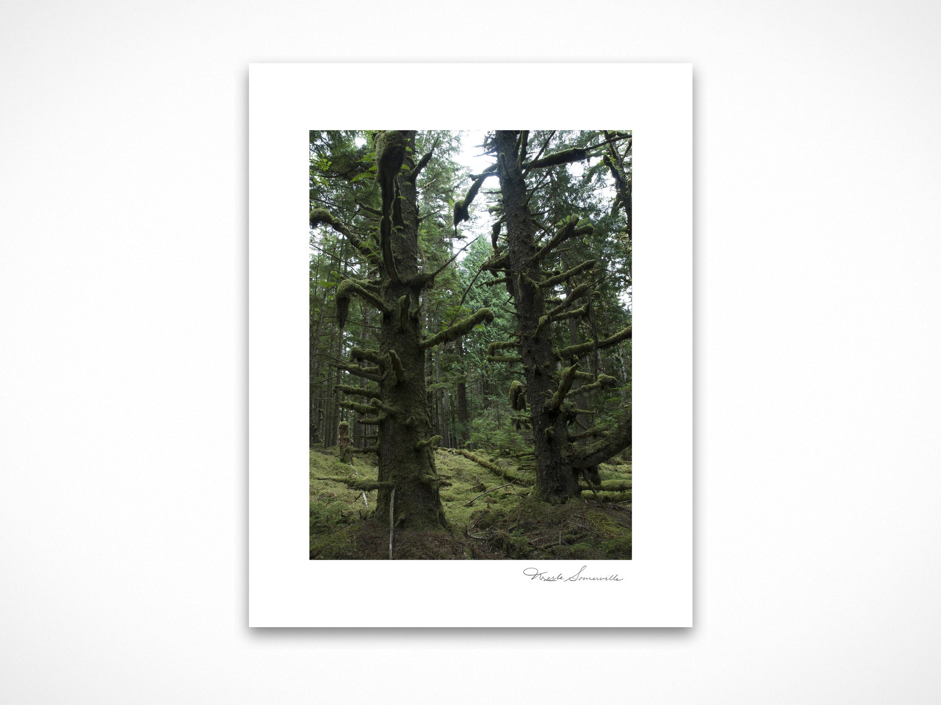 Haida Totems 2