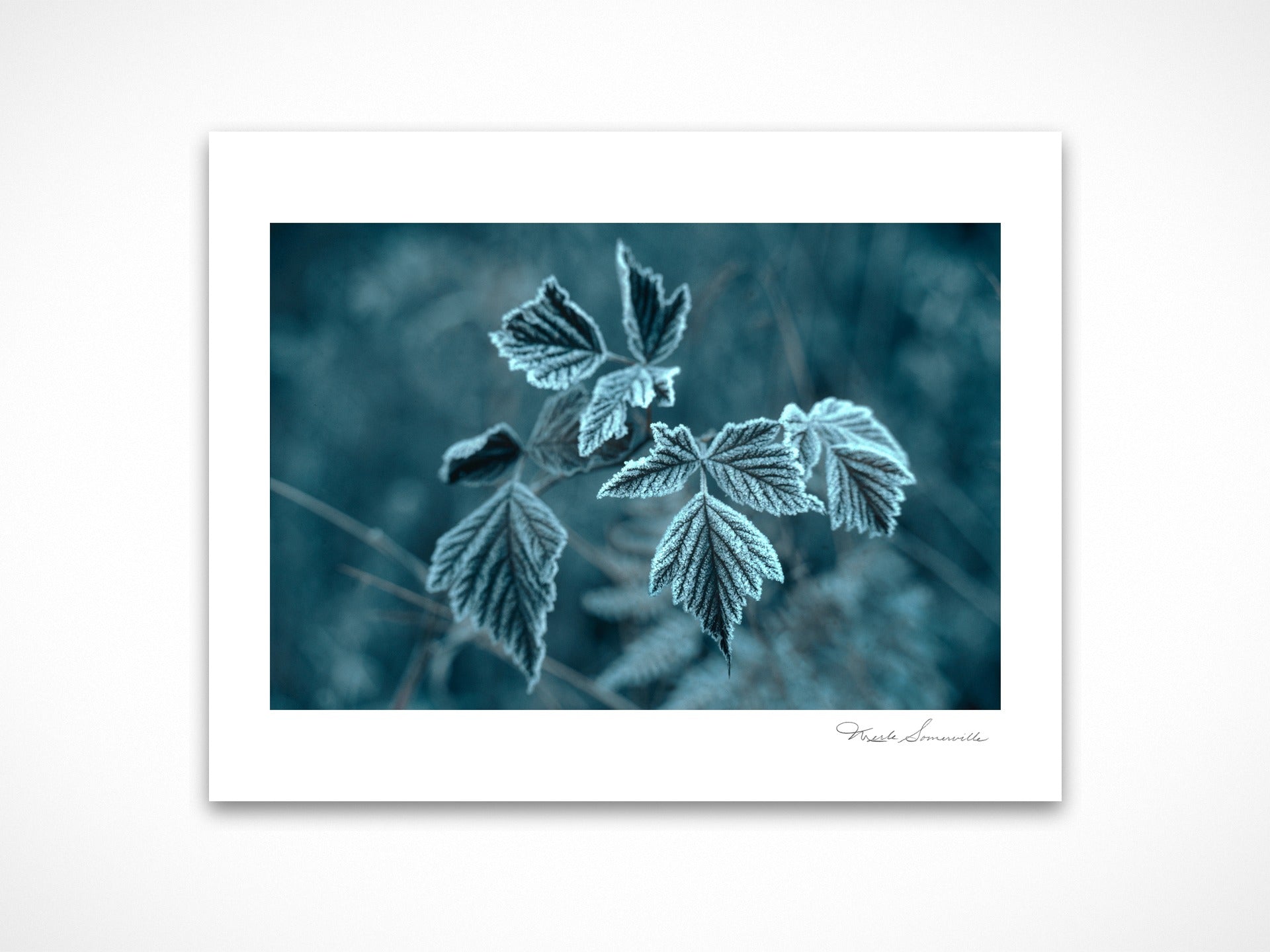 Frozen 1