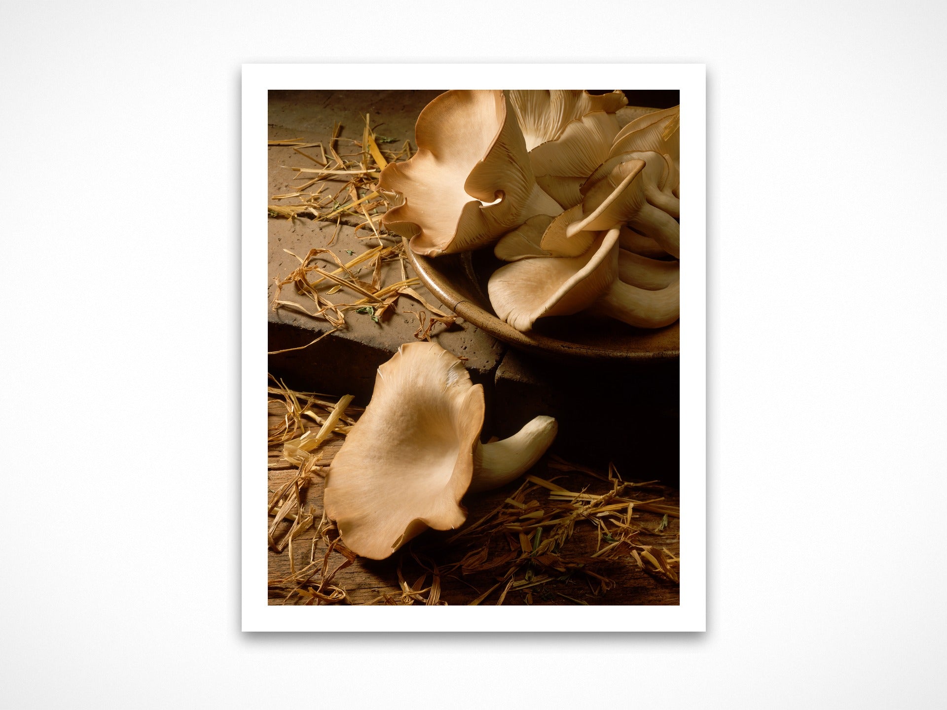 Mushrooms