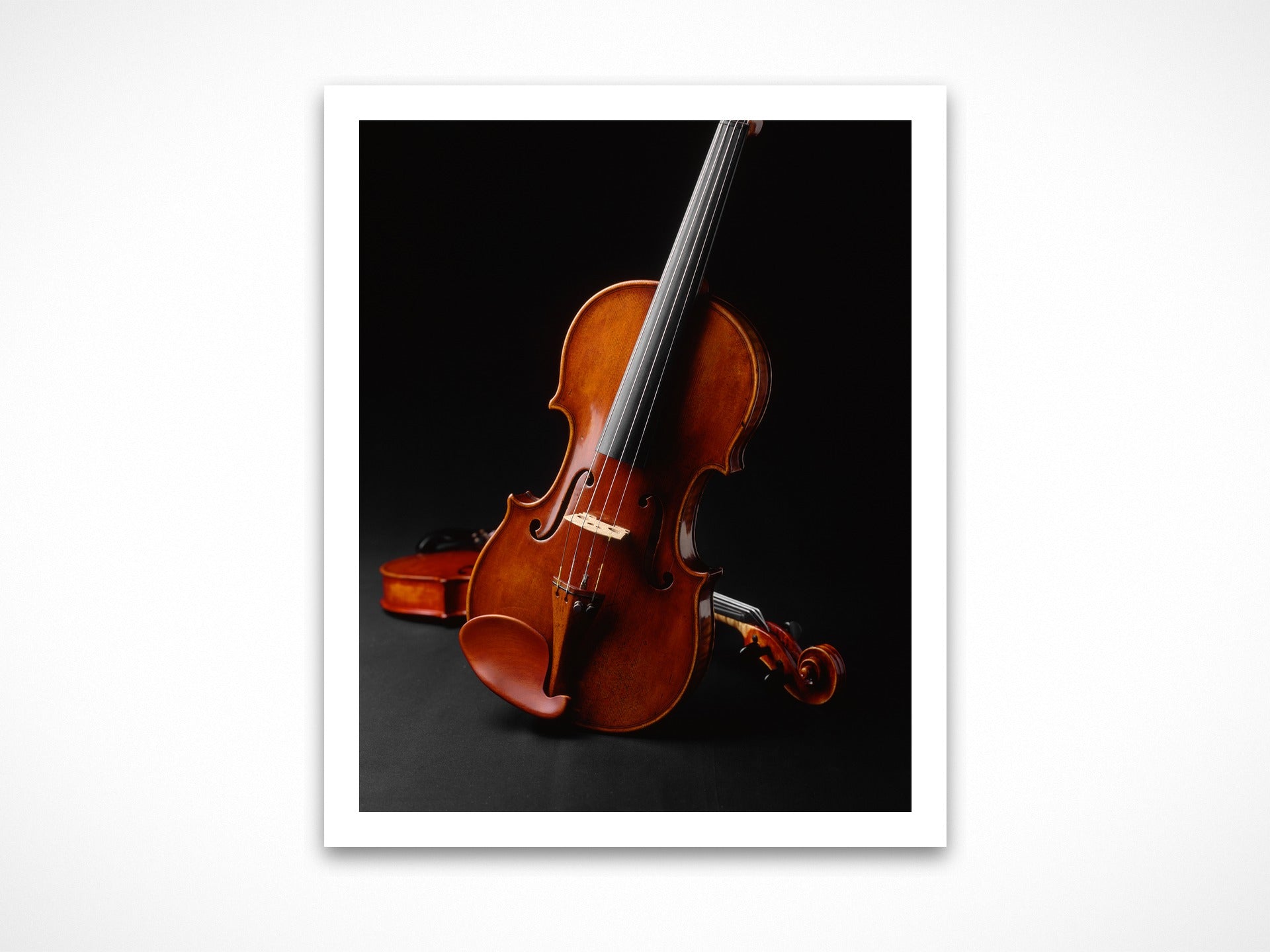 Violin