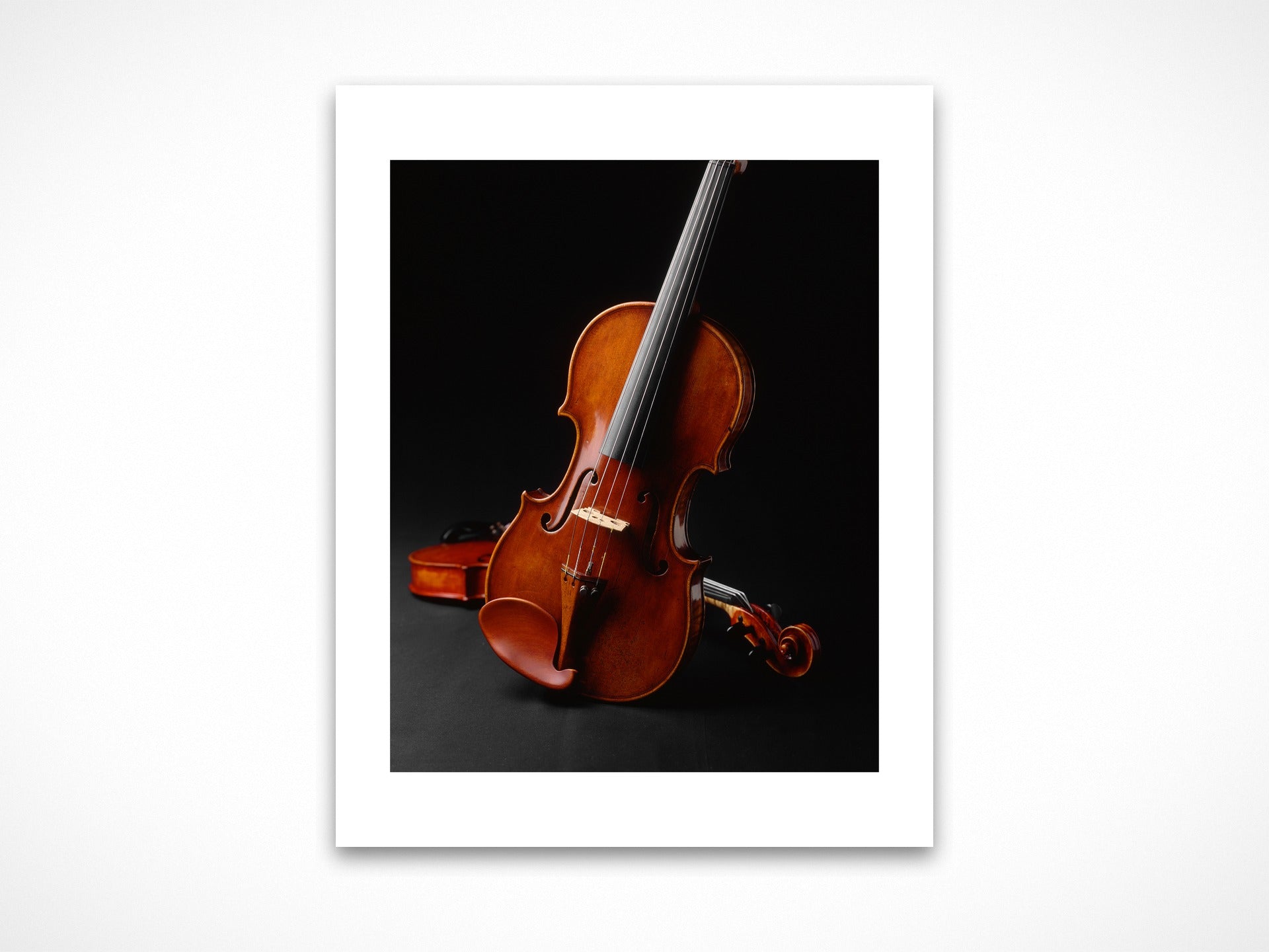 Violin