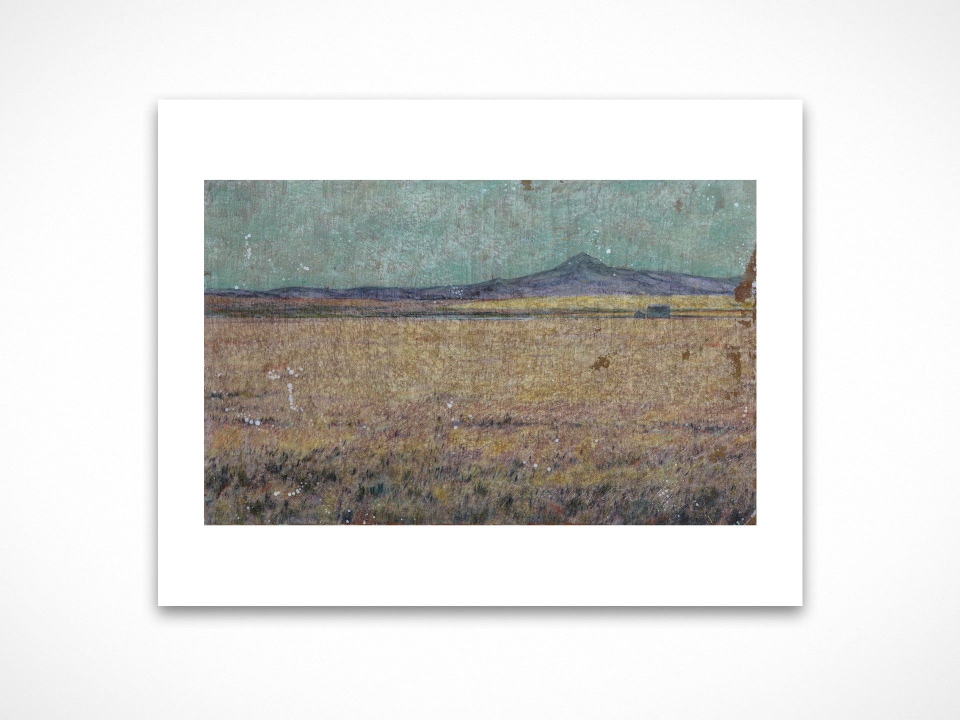 Wind that Shakes the Barley