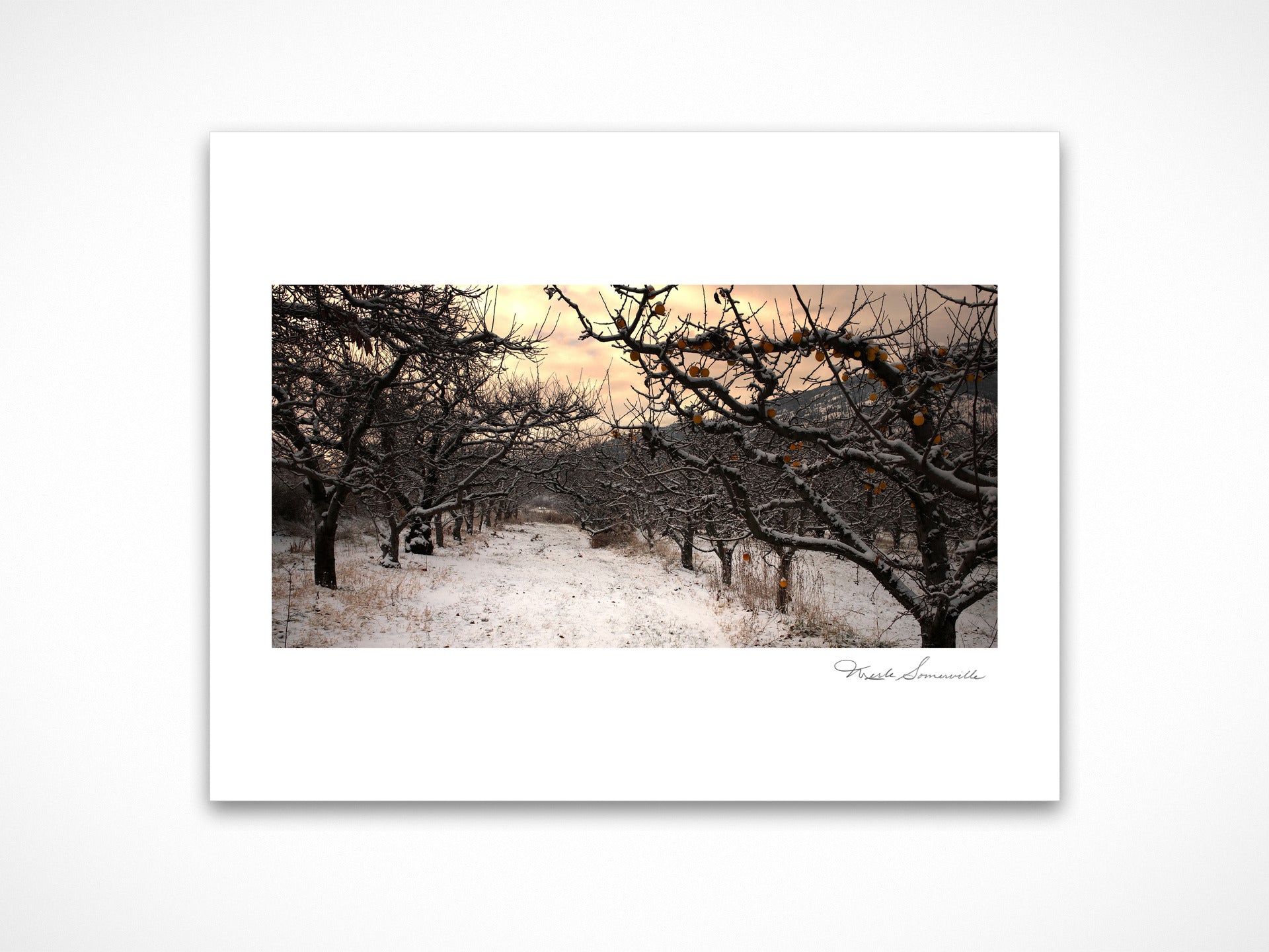 Winter Orchard