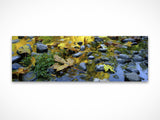 Fallen Leaves