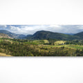 Southern Vista