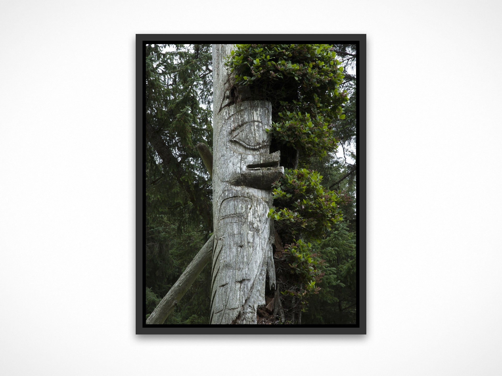 Haida Totems 3