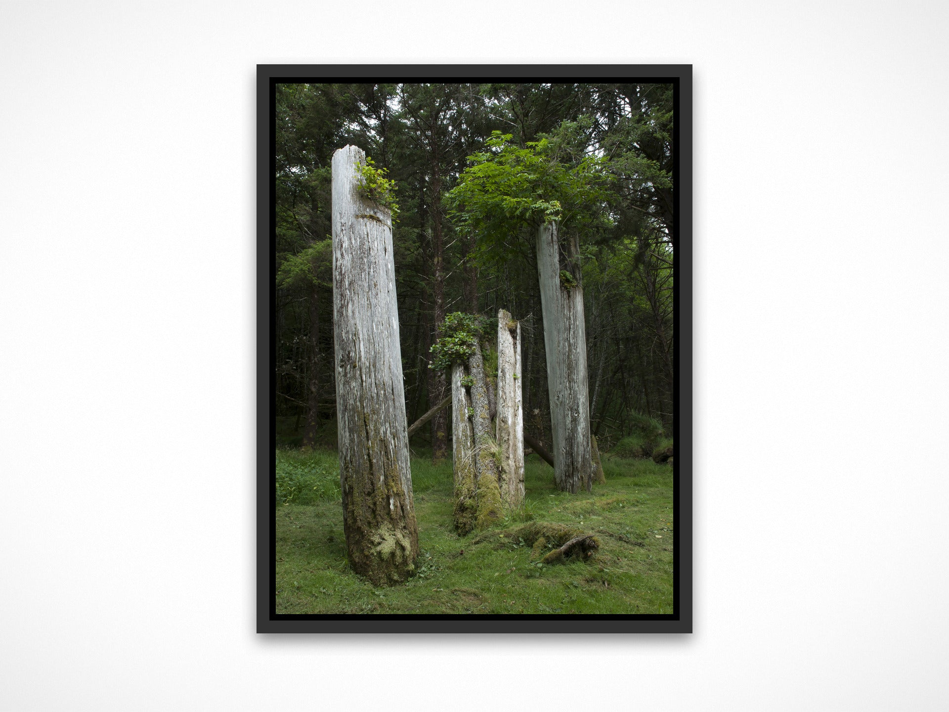 Haida Totems 3